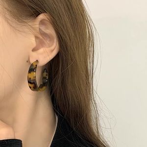 Special resinous earrings